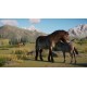 Planet Zoo: Premium Edition 2024 Steam CD Key
