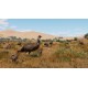 Planet Zoo: Premium Edition 2024 Steam CD Key