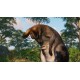 Planet Zoo: Premium Edition 2024 Steam CD Key
