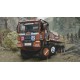 Heavy Duty Challenge: The Off-Road Truck Simulator EU Steam CD Key