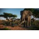 Planet Zoo: Console Edition US Xbox Series X|S CD Key