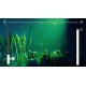 DREAMERS Digital Deluxe Edition XBOX One / Xbox Series X|S Account
