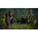 Planet Zoo: Console Edition Xbox Series X|S Account