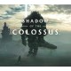 Shadow of the Colossus PS5 Account