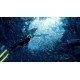 ABZU PS5 Account
