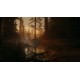 Alan Wake 2 Deluxe Edition Xbox Series X|S CD Key