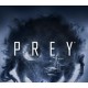 Prey EU XBOX One / Xbox Series X|S CD Key