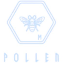 P·O·L·L·E·N Steam CD Key