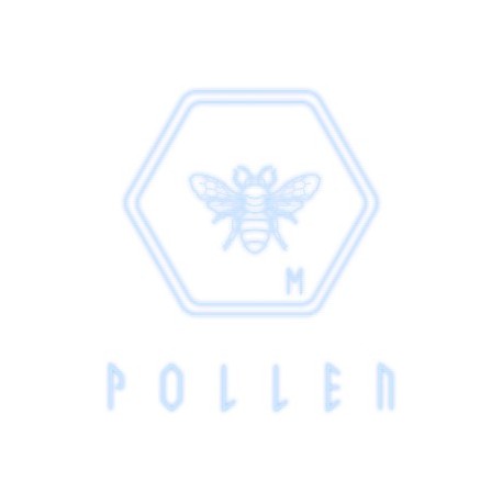 P·O·L·L·E·N Steam CD Key