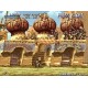 METAL SLUG 2 PC Steam CD Key