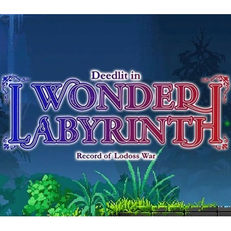 Record of Lodoss War -Deedlit in Wonder Labyrinth- XBOX One Account