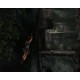 Tomb Raider: Anniversary XBOX One / Xbox Series X|S Account