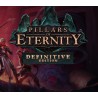 Pillars of Eternity Definitive Edition PC Steam Account