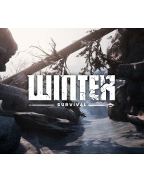 Winter Survival PC Steam Account
