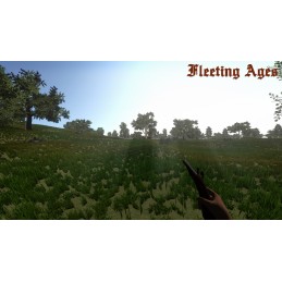Fleeting Ages Steam CD Key