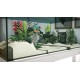 Aquarium Designer XBOX One / Xbox Series X|S Account