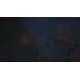 Djinn - The Forbidden Knowledge PC Epic Games Account