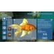 Aquarist NA PS5 CD Key