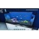 Aquarist NA PS5 CD Key