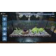 Aquarist NA PS5 CD Key
