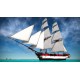 Forgotten Seas PC Steam CD Key