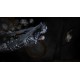 The Prisoner of the Night XBOX One Account