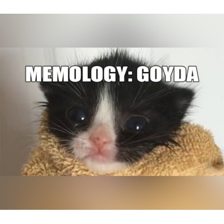 MEMOLOGY: GOYDA PC Steam CD Key