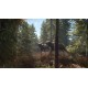 theHunter: Call of the Wild PC Windows 10 Account