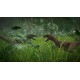 Jurassic World Evolution XBOX One / Xbox Series X|S Account