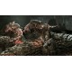 Gears of War 2 XBOX One / Xbox Series X|S Account