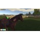 Animal Trainer Simulator PC Steam CD Key