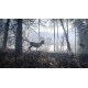 theHunter: Call of the Wild (2024) - Master Hunter Bundle PC Steam CD Key