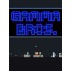 Gamma Bros 1.5 Steam CD Key