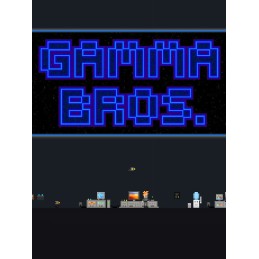 Gamma Bros 1.5 Steam CD Key