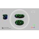 4D Games PC Steam CD Key