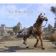 The Elder Scrolls Online - Sungold Bay Thoroughbred Mount DLC PC Digital Download CD Key