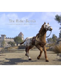 The Elder Scrolls Online - Sungold Bay Thoroughbred Mount DLC PC Digital Download CD Key