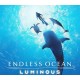 Endless Ocean Luminous Nintendo Switch Online Account Activation