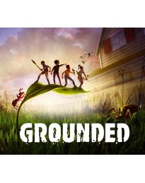Grounded Nintendo Switch Access