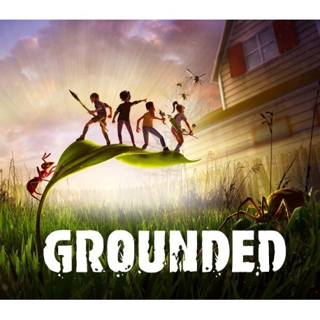 Grounded Nintendo Switch Access