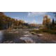 Hunting Simulator 2 XBOX One / Xbox Series X|S Account