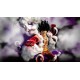 One Piece: Pirate Warriors 4 Nintendo Switch Access