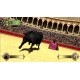 Toro Steam CD Key