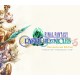 FINAL FANTASY CRYSTAL CHRONICLES - Remastered Edition Nintendo Switch Online Account Activation