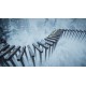 AtmaSphere 2 PC Steam CD Key