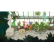 CLeM XBOX One / Xbox Series X|S Account