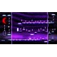Beyond Doors XBOX One / Xbox Series X|S Account