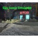 Slav Junkie Simulator PC Steam CD Key