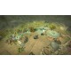 Age of Wonders: Planetfall - Invasions DLC EU PC Steam CD Key