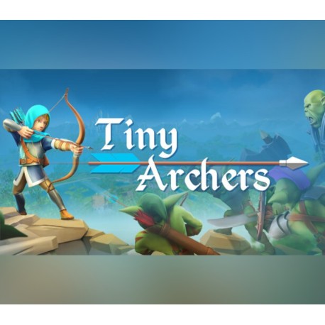 Tiny Archers VR PC Steam CD Key